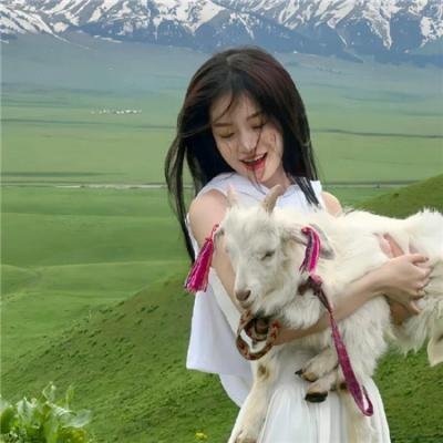 玩命特攻：武演行动